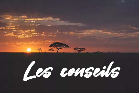 Le conseil et l'expertise de Memory Safaris dans l'organisation de voyages sur-mesure en Tanzanie