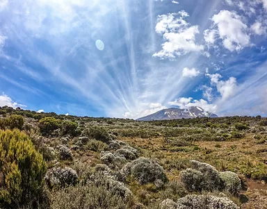 Memory Safaris, le spécialiste du voyage en Tanzanie, vous propose un trek à travers le Mont Kilimandjaro