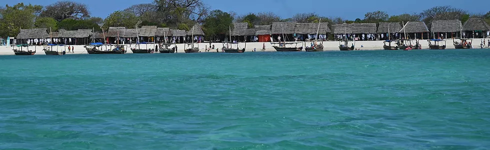 La plage de Bwejuu et ses eaux turquoises située sur l'île de Zanzibar